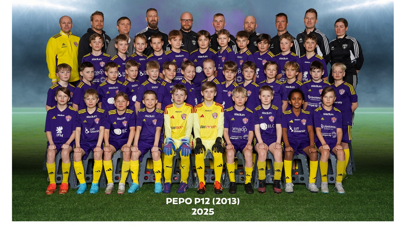 PEPO P12(2013)