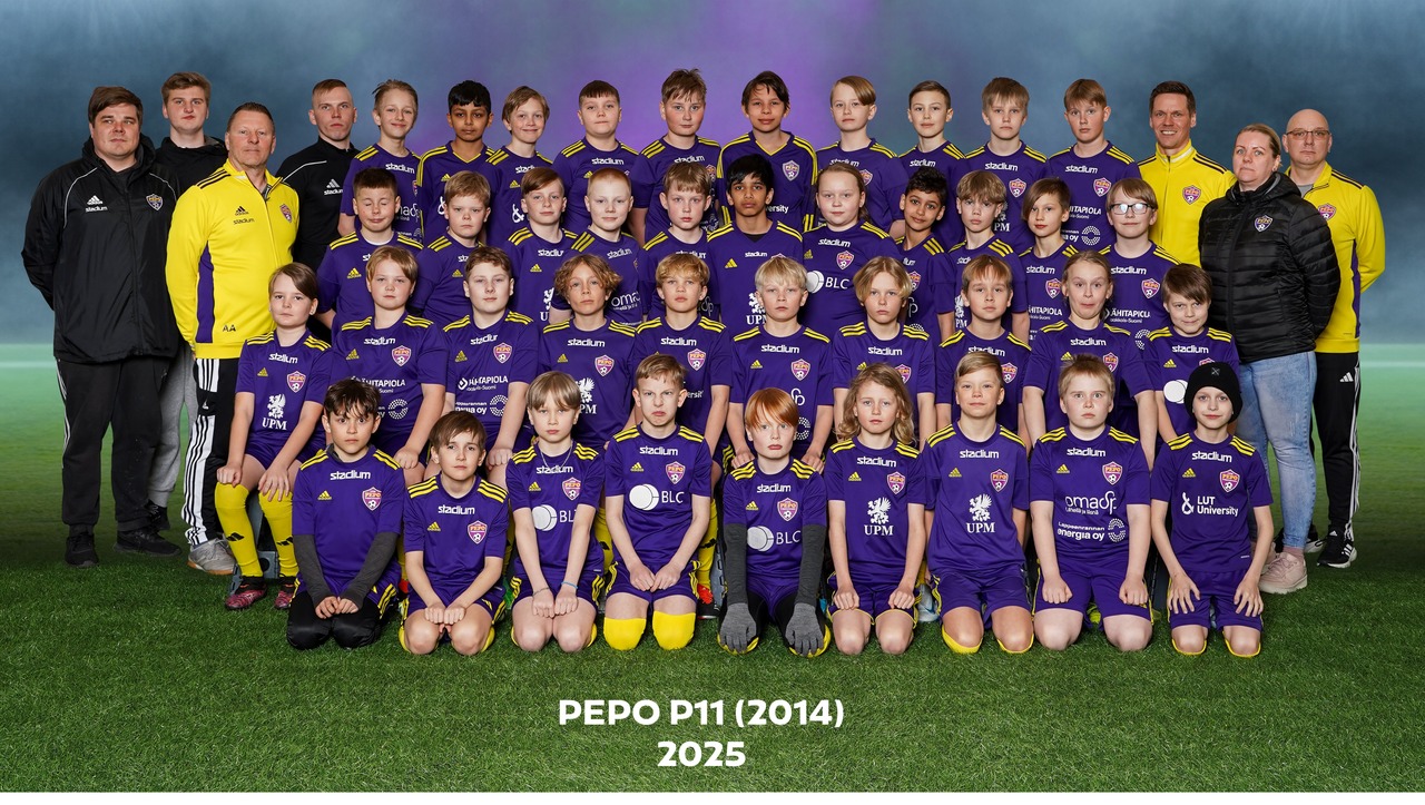 PEPO P11(2014)