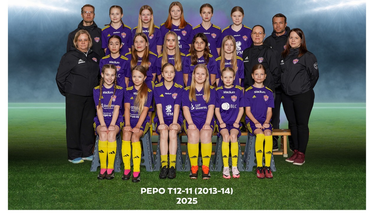 PEPO T12/11 (2013-2014)