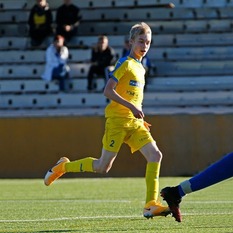 Jäsenen kuva