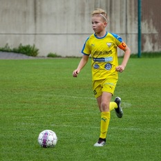 Jäsenen kuva