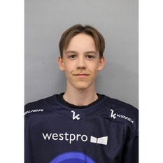 Jäsenen kuva