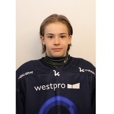 Jäsenen kuva
