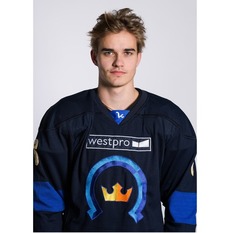 Jäsenen kuva
