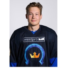 Jäsenen kuva