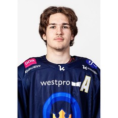 Jäsenen kuva