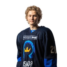 Jäsenen kuva