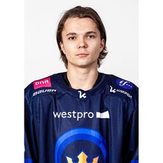 Jäsenen kuva