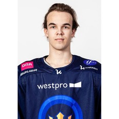 Jäsenen kuva