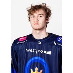 Jäsenen kuva