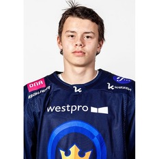 Jäsenen kuva