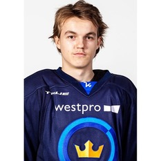 Jäsenen kuva