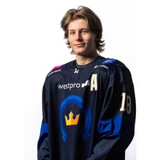 Jäsenen kuva