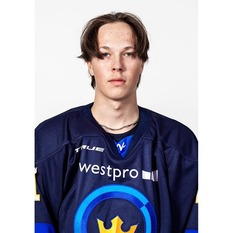 Jäsenen kuva