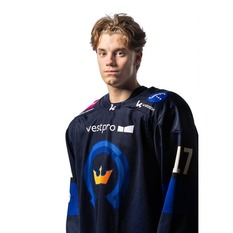 Jäsenen kuva