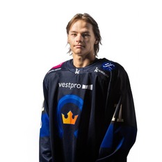 Jäsenen kuva