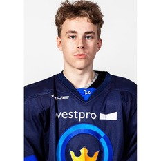 Jäsenen kuva