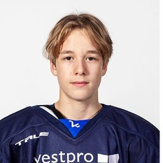 Jäsenen kuva