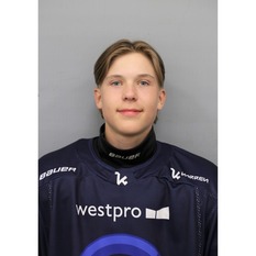 Jäsenen kuva
