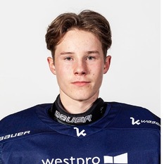 Jäsenen kuva