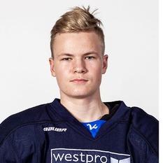 Jäsenen kuva