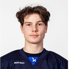 Jäsenen kuva