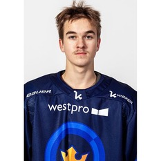 Jäsenen kuva