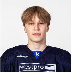 Jäsenen kuva