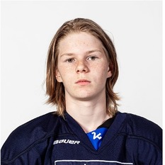 Jäsenen kuva