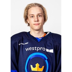 Jäsenen kuva