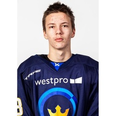 Jäsenen kuva