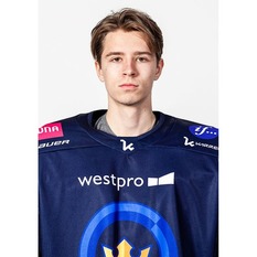 Jäsenen kuva
