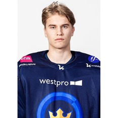 Jäsenen kuva