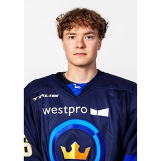 Jäsenen kuva