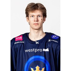 Jäsenen kuva