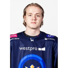 Jäsenen kuva