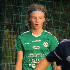 Jäsenen kuva
