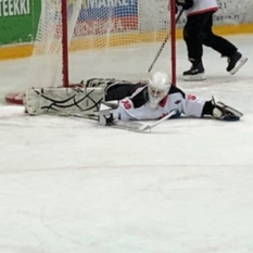 Jäsenen kuva