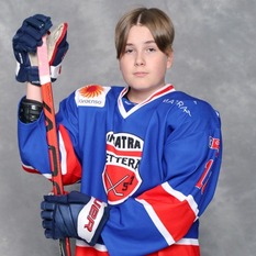 Jäsenen kuva