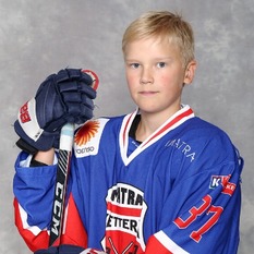 Jäsenen kuva