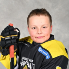 Jäsenen kuva