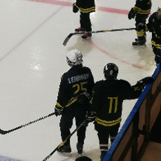 Jäsenen kuva