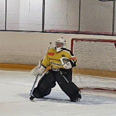 Jäsenen kuva