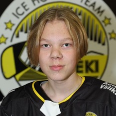Jäsenen kuva