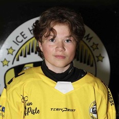 Jäsenen kuva