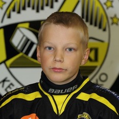 Jäsenen kuva