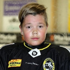 Jäsenen kuva