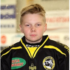 Jäsenen kuva